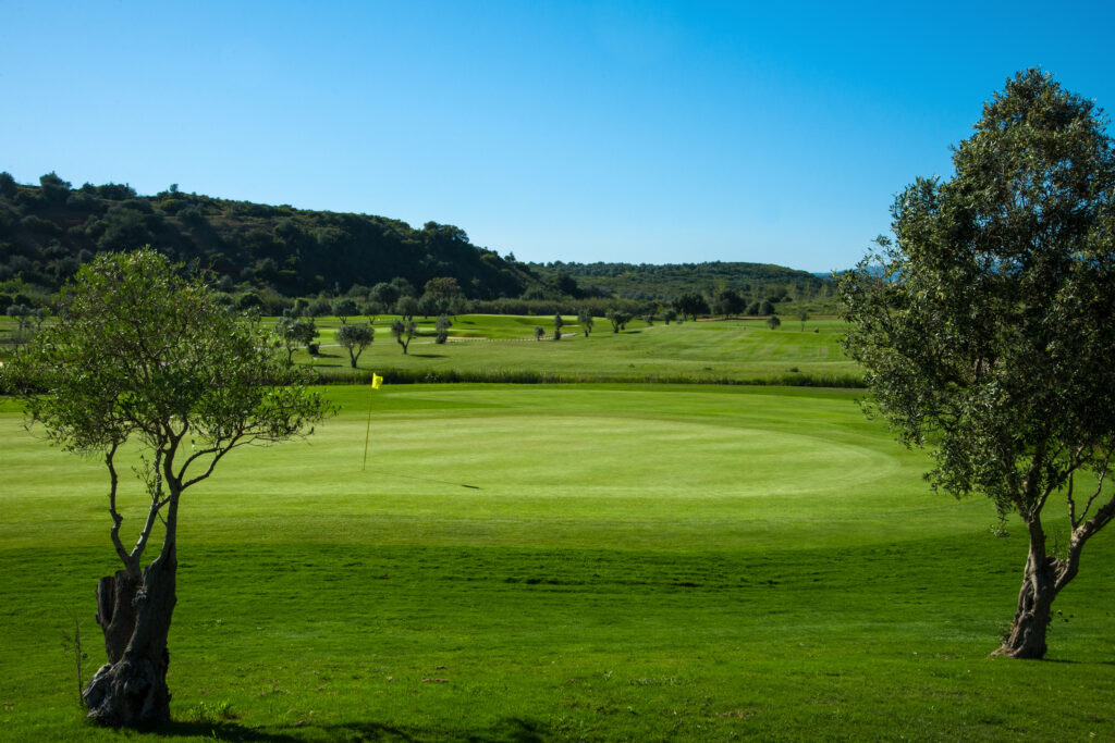 A hole at Morgado golf course with trees
