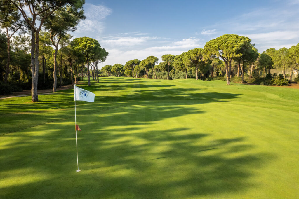 Hole with trees around at Nobilis Golf Course