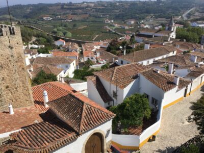 picture of obidos houses with vineyards in the background