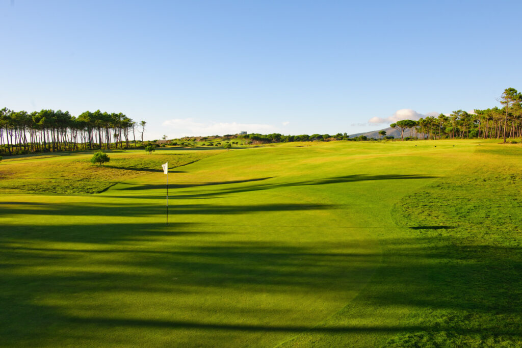 Hole with white flag and trees in background at Oitavos Dunes Golf Course