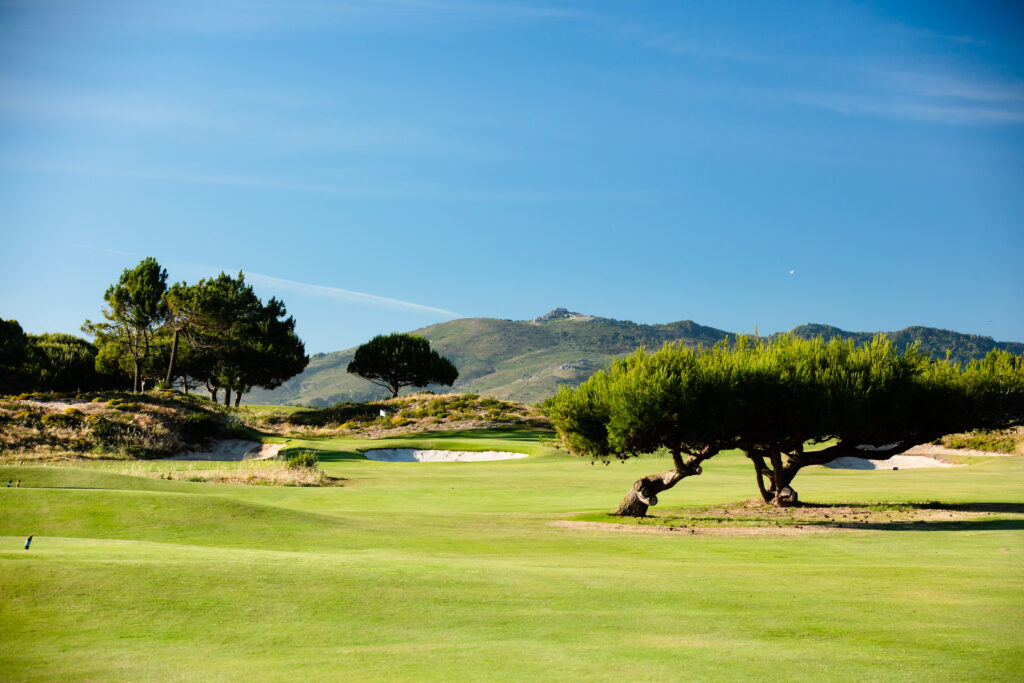 Fairway at Oitavos Dunes Golf Course with bunker and trees