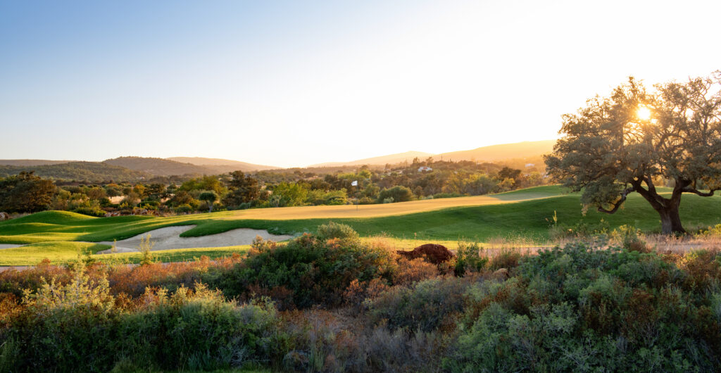 A green with bunkers and a tree un the foreground at sunset at Ombria Golf Course