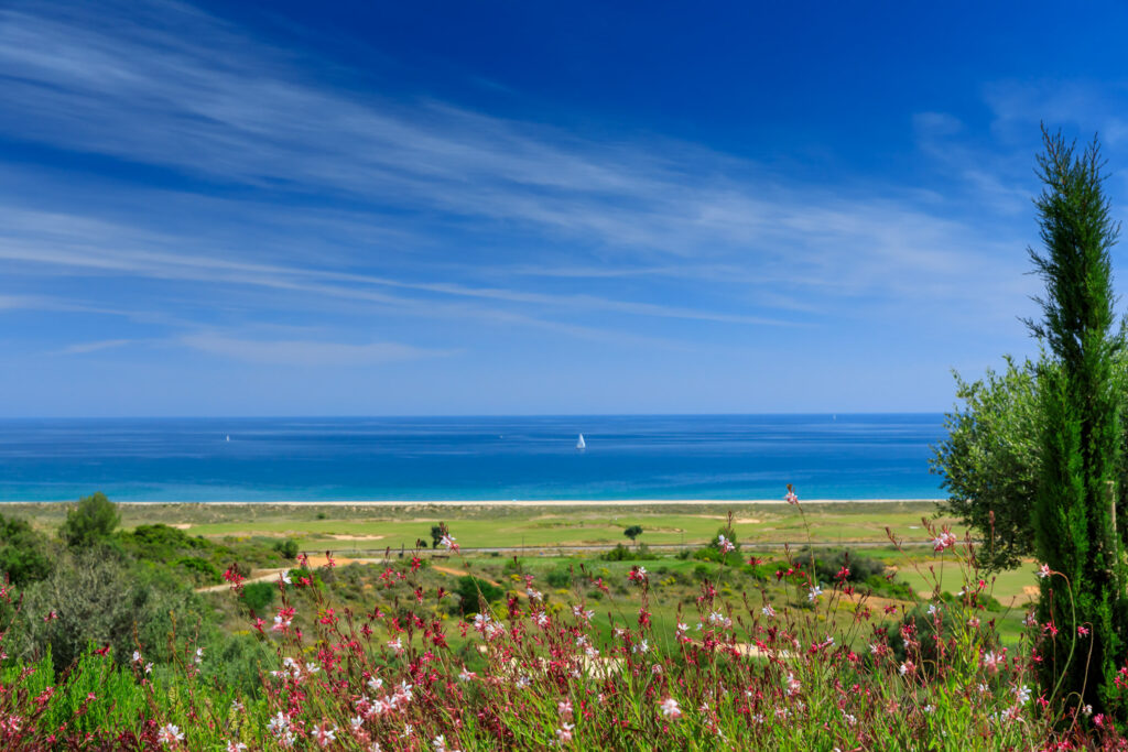 Beach view with flowers in foreground at Palmares Golf Course