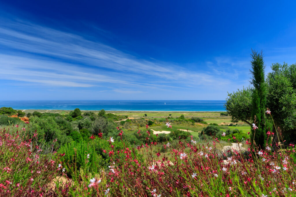 Flowers with course and beach in background at Palmares Golf Course