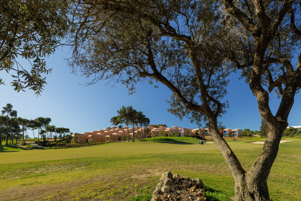 Outdoor view of Palmares Signature Apartments