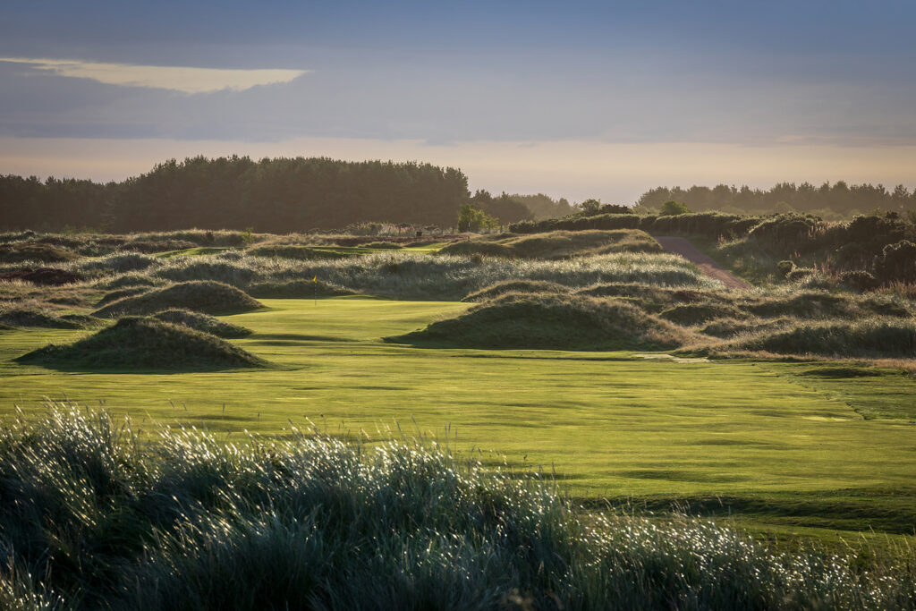 Fairway at Panmure Golf Club with trees in background and mounds around