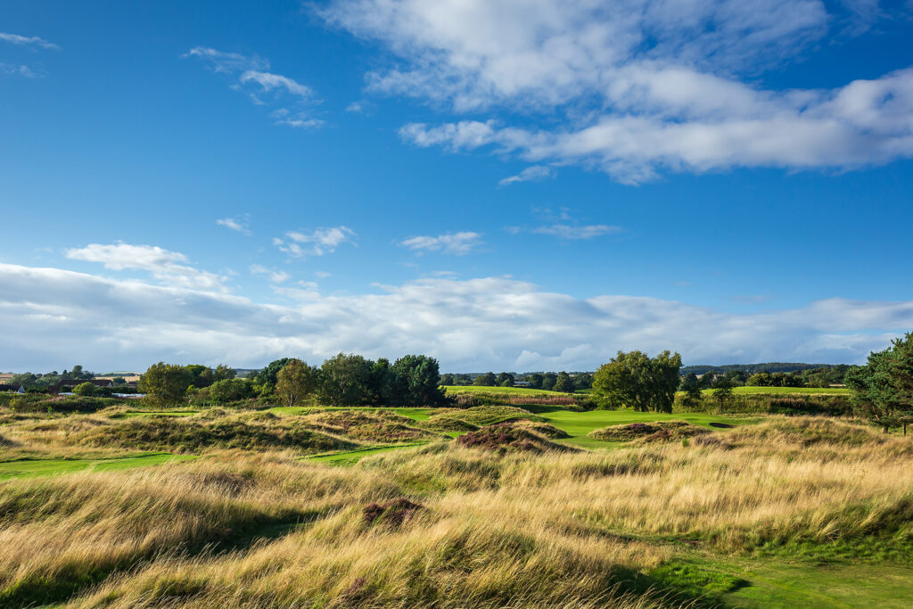 Fairway at Panmure Golf Club with trees around