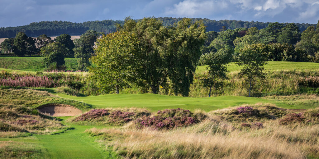 Hole with trees in background at Panmure Golf Club surrounded by heather