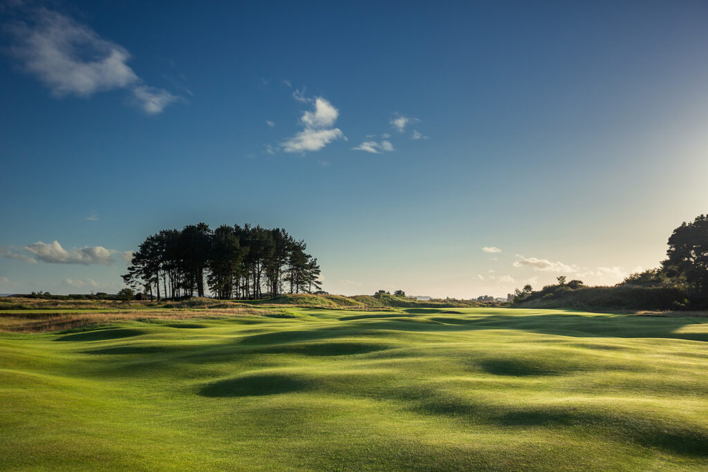 Fairway at Panmure Golf Club with trees in distance