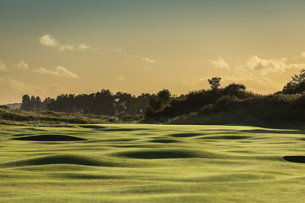 Fairway at Panmure Golf Club with trees in background