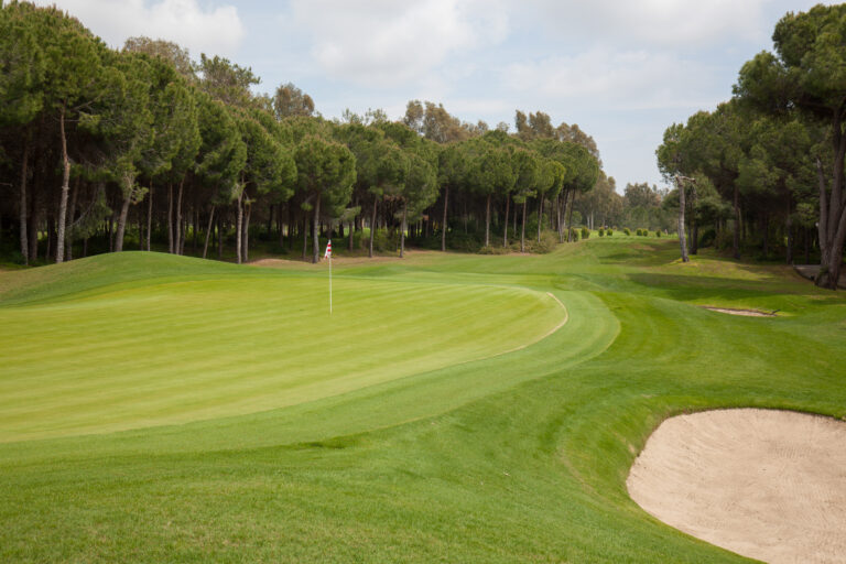 Hole with fairway in background and trees around at The Pasha Golf Course