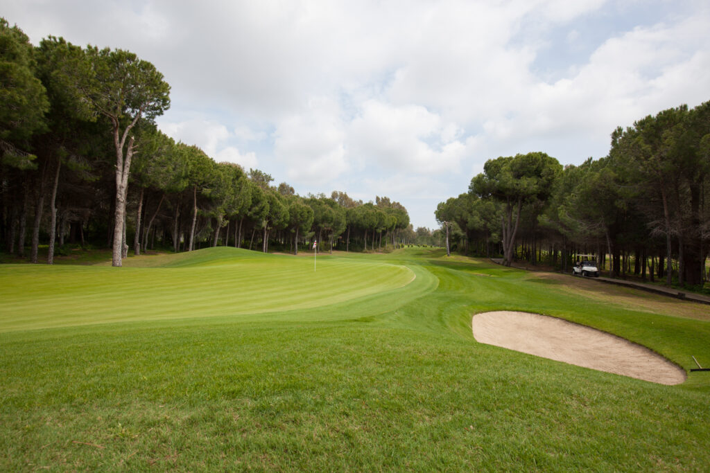 Fairway with trees around with a bunker at The Pasha Golf Course