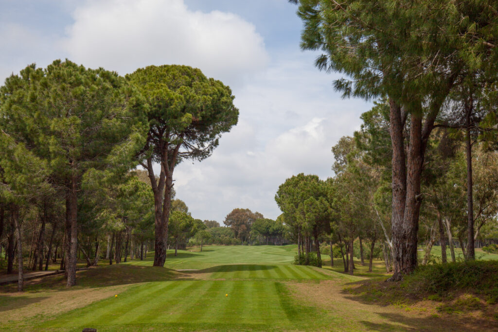 Fairway with trees around at The Pasha Golf Course