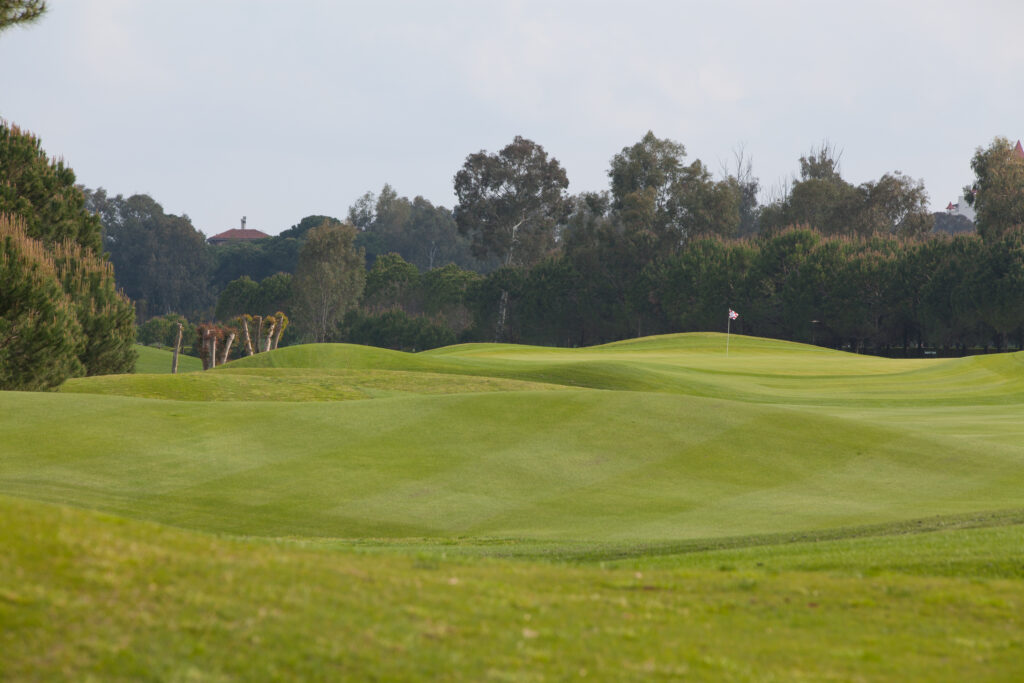 Fairway with trees around and hole in background at The Pasha Golf Course