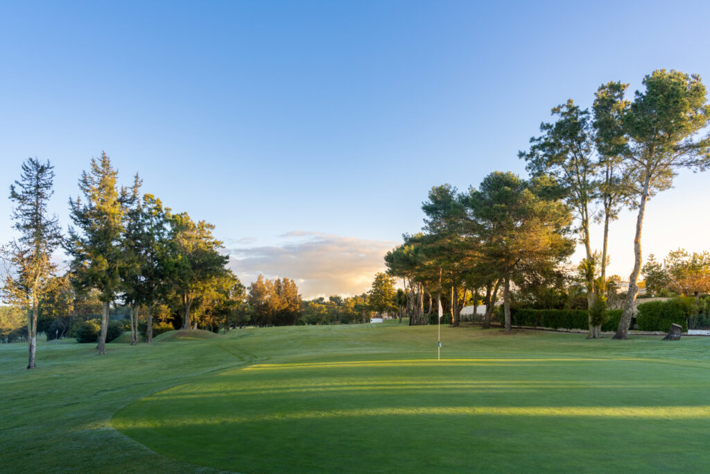 A green with trees around at Alto Golf Course