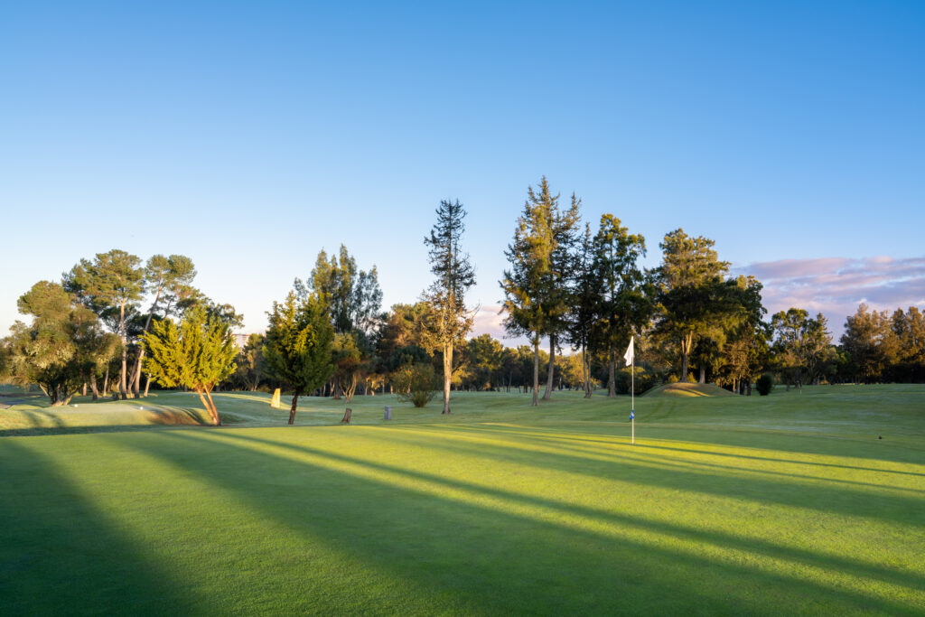 A green with trees in background at Alto Golf Course