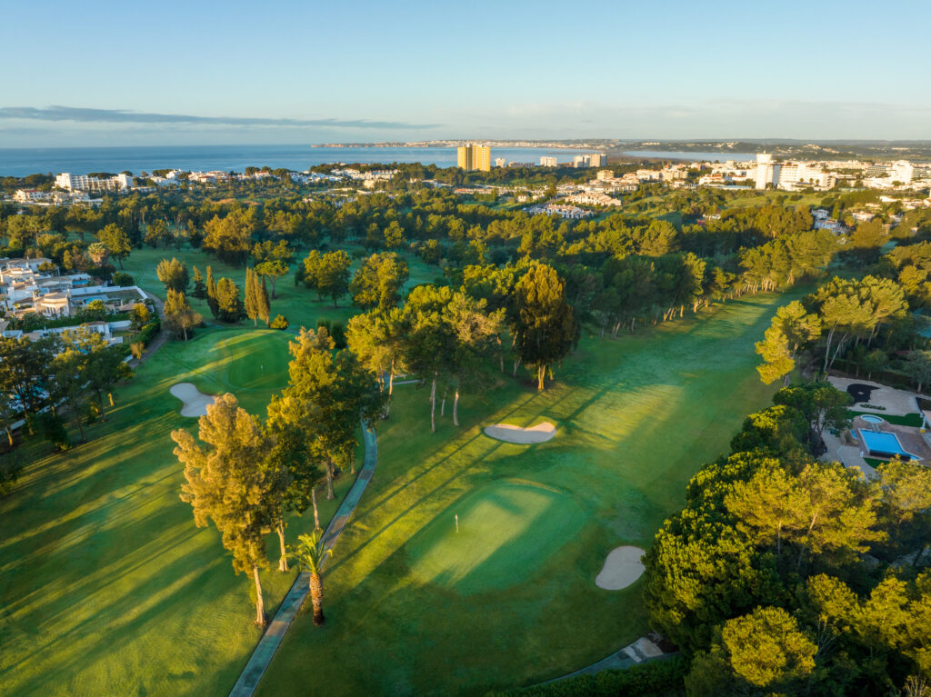 Aerial view of fairway with trees at Alto Golf Course with ocean and buildings in the distance