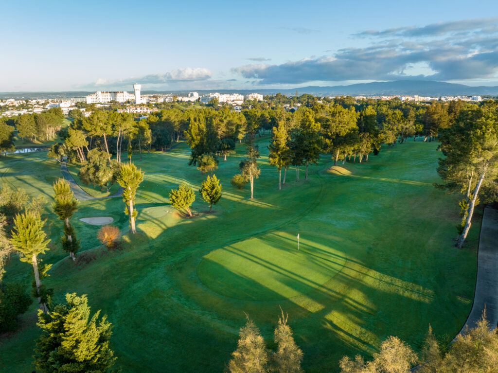 Aerial view of fairway with trees at Alto Golf Course