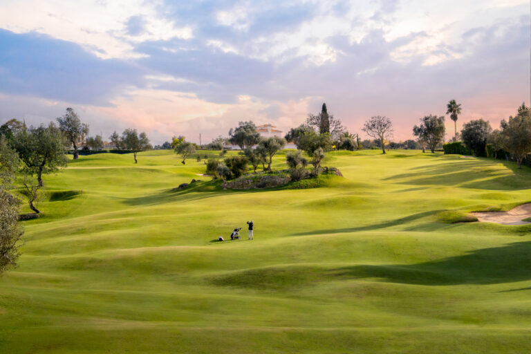 Fairway with trees at Gramacho Golf Course