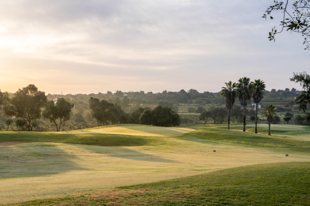 A green at Silves Golf Course with trees around