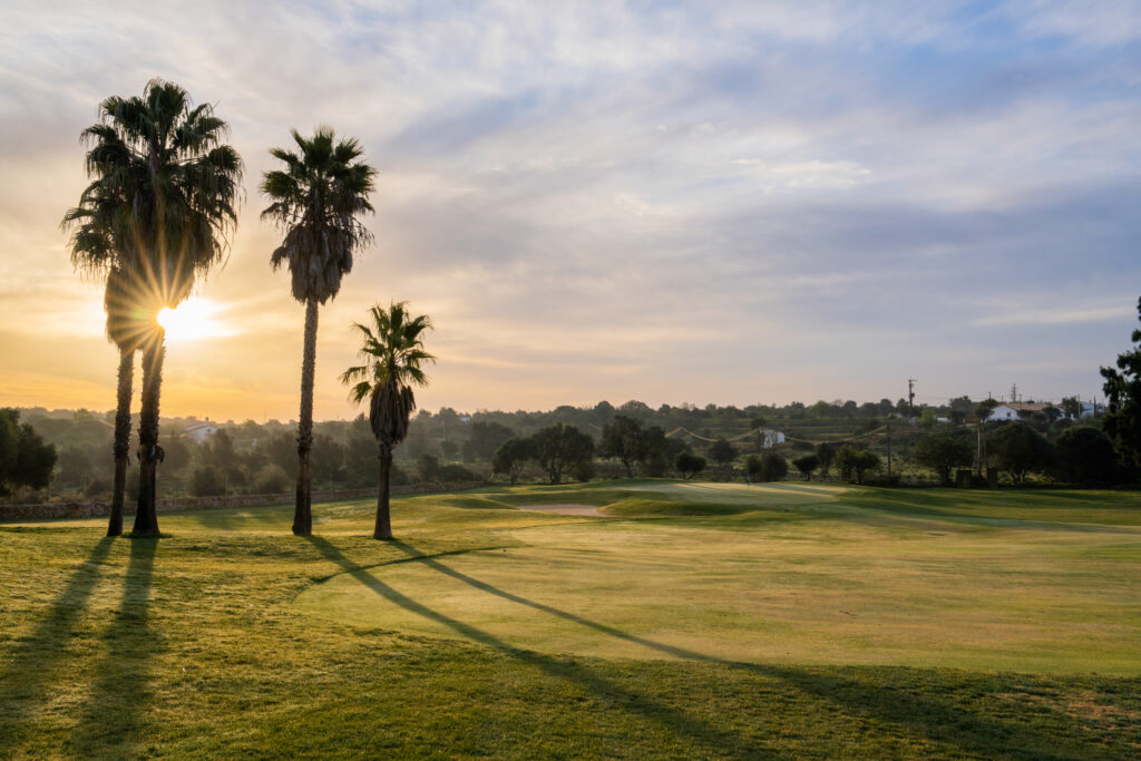 A green at Silves Golf Course with sun shining through palm trees