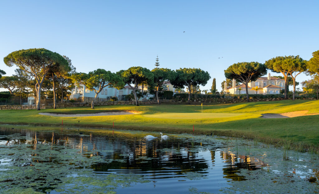 A lake with swans on with green and a bunker in background surrounded by trees at Vila Sol Golf Course