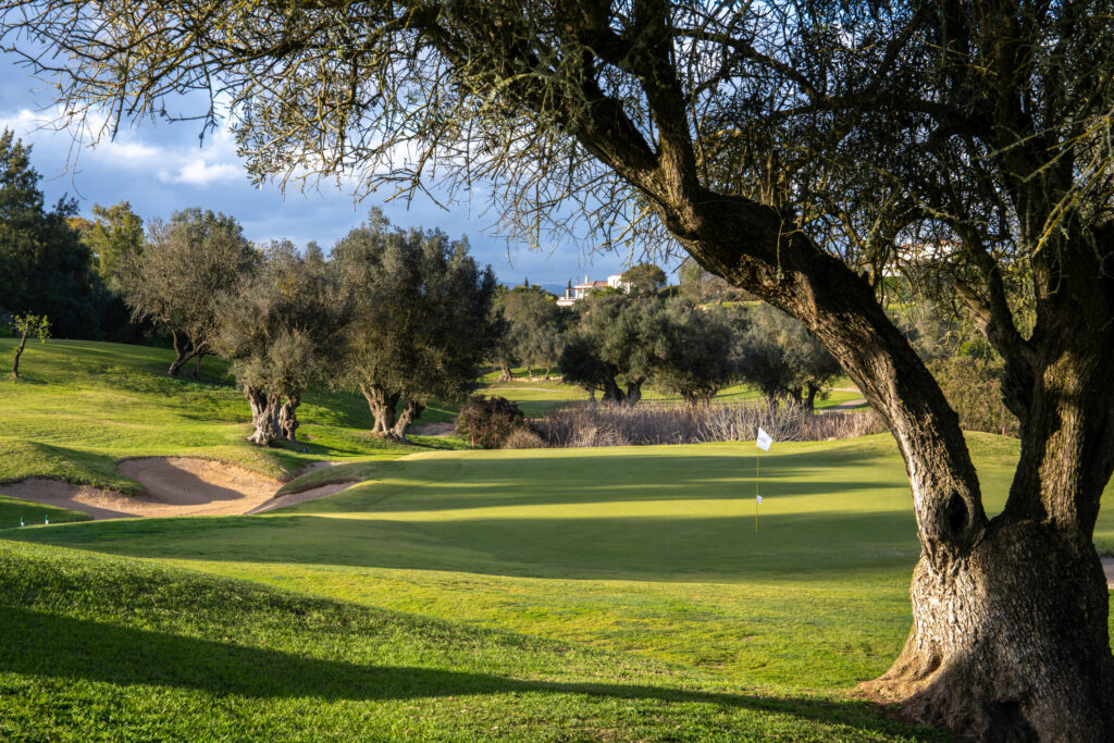 A green with a bunker and trees around at Pinta Golf Course