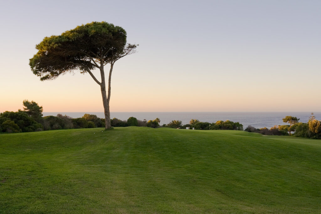 Fairway with tree in centre overlooking the ocean at Onyria Quinta da Marinha Golf Course