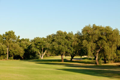 Fairway with trees at Quinta do Peru Golf Course