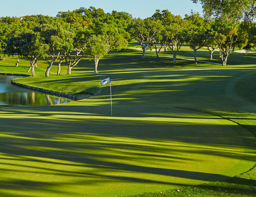 Hole with trees around at Real Club Valderrama Golf Course