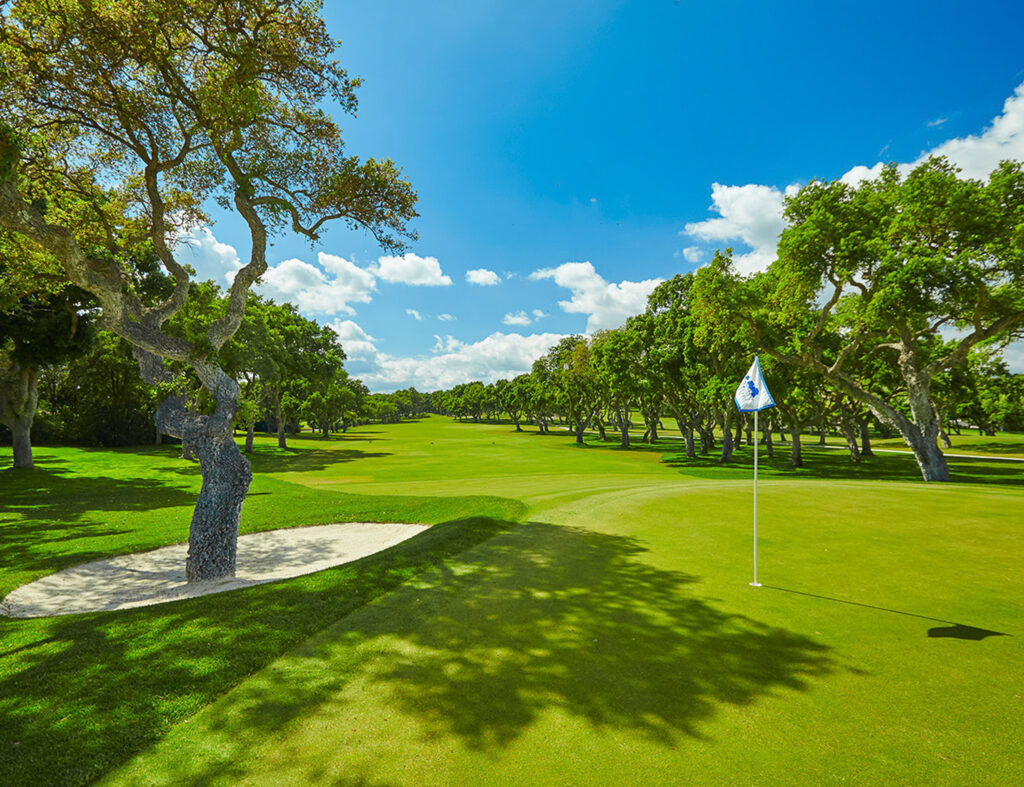 Hole with trees and bunkers around at Real Club Valderrama Golf Course