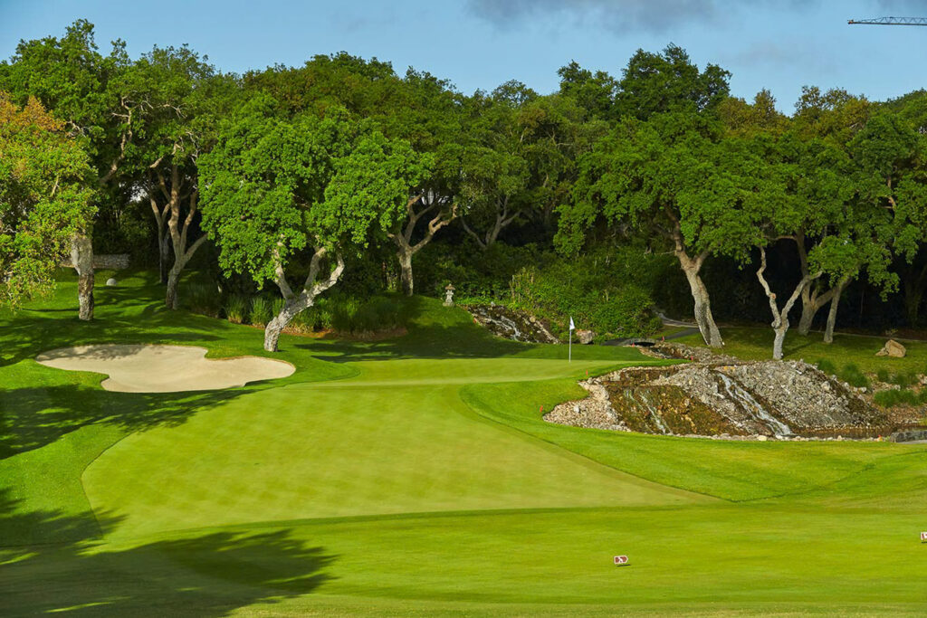 Fairway with bunkers and trees around at Real Club Valderrama Golf Course