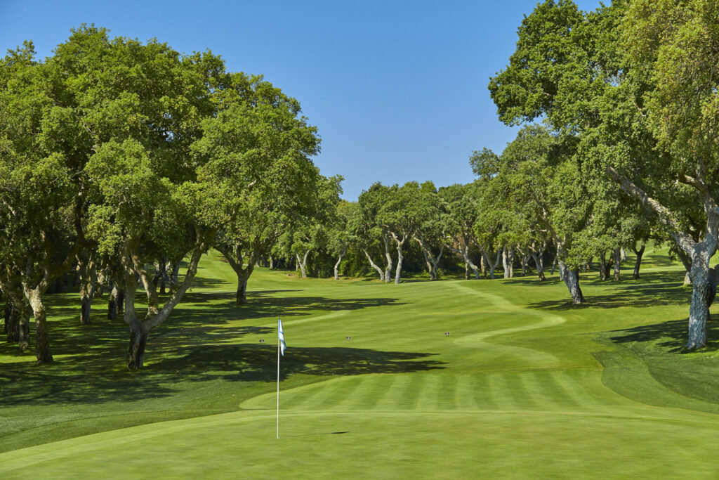 Hole with trees around at Real Club Valderrama Golf Course