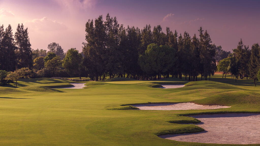 Fairway with bunkers with trees in background at Real Club Sevilla Golf