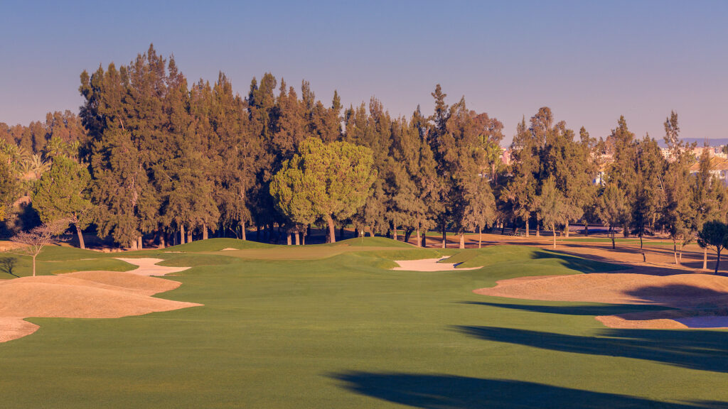 Fairway with bunkers and trees around at Real Club Sevilla Golf