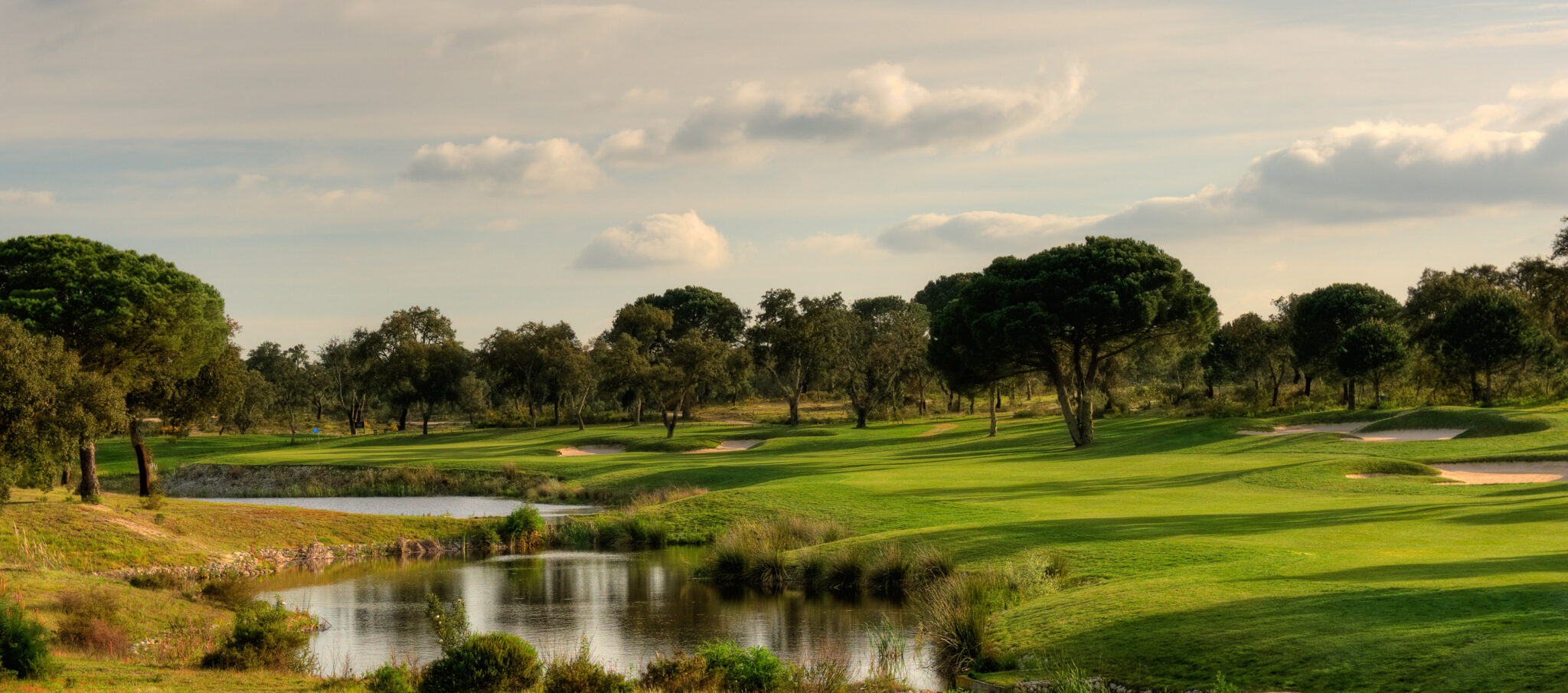 Fairway with bunkers and water hazards with trees around at Ribagolfe Lakes Golf Course