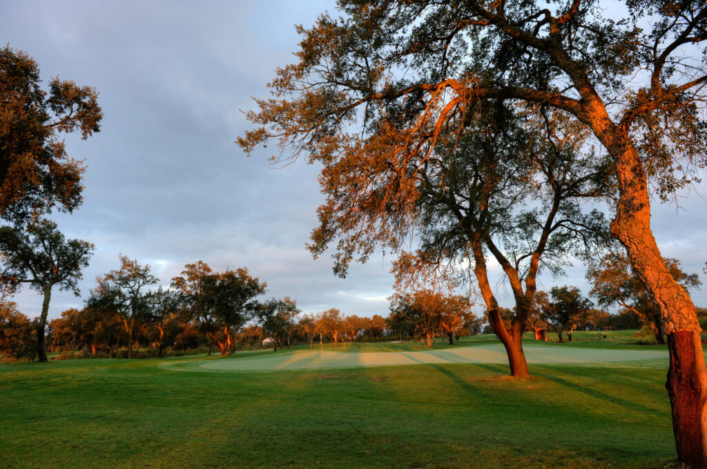 Trees on fairway at sunset at Ribagolfe Oaks Golf Course