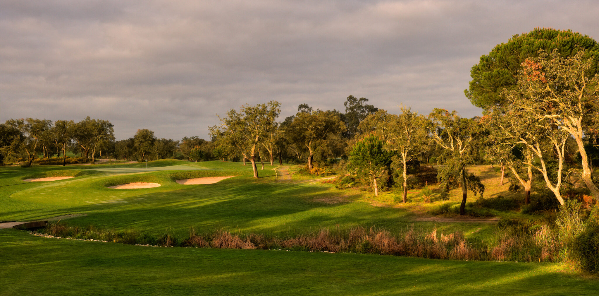 Fairway with bunkers and hole with trees around at Ribagolfe Oaks Golf Course