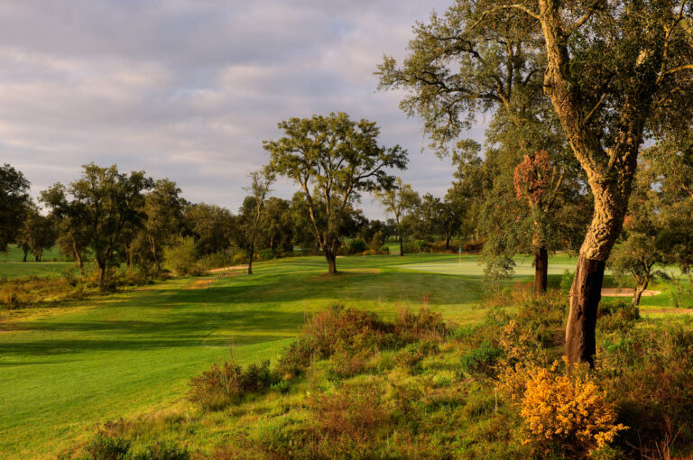 Fairway with trees and a hole in the background at Ribagolfe Oaks Golf Course