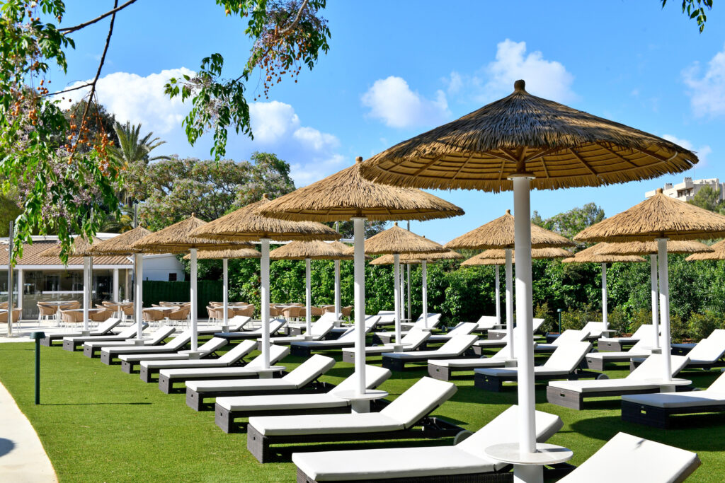 Sun loungers at Salles Hotel Marina Portals