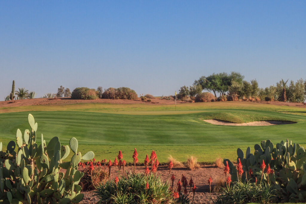 Hole with bunker at Samanah Golf & Country Club with trees around