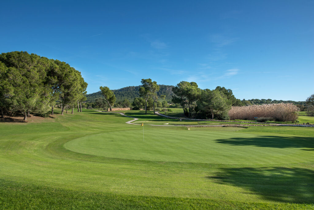 Hole with trees around at Santa Ponsa I Golf Course