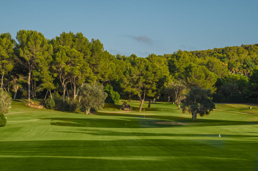 Fairway with trees around at Santa Ponsa I Golf Course