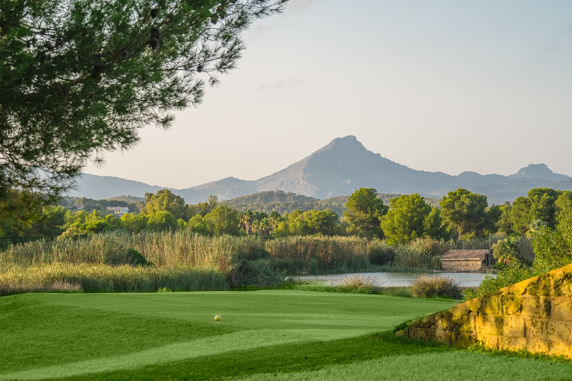 The fairway with trees and mountain in background at Santa Ponsa I Golf Course