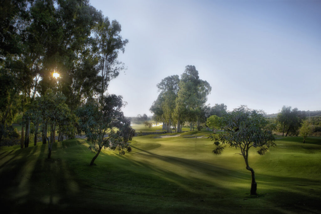 Fairway with trees around at Santana Golf Course