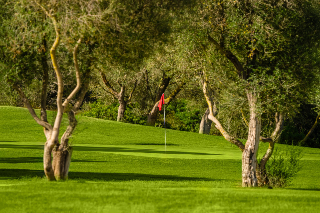 Hole with red flag with trees around at Son Antem - East Course