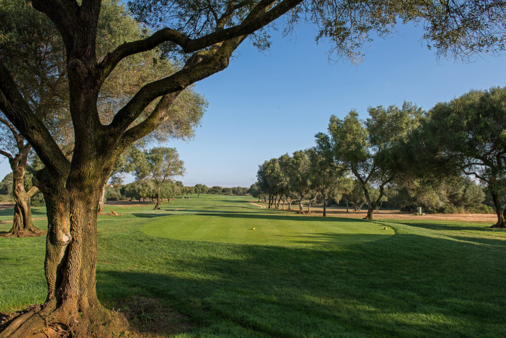 Hole with trees around at Son Antem - East Course