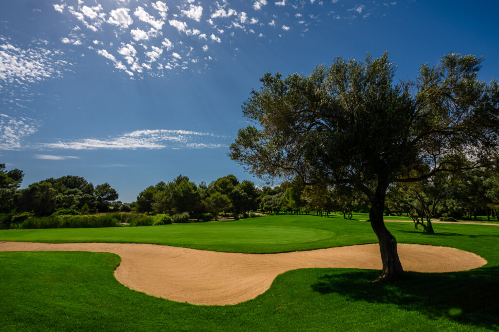 Bunker with trees around at Son Antem - East Course