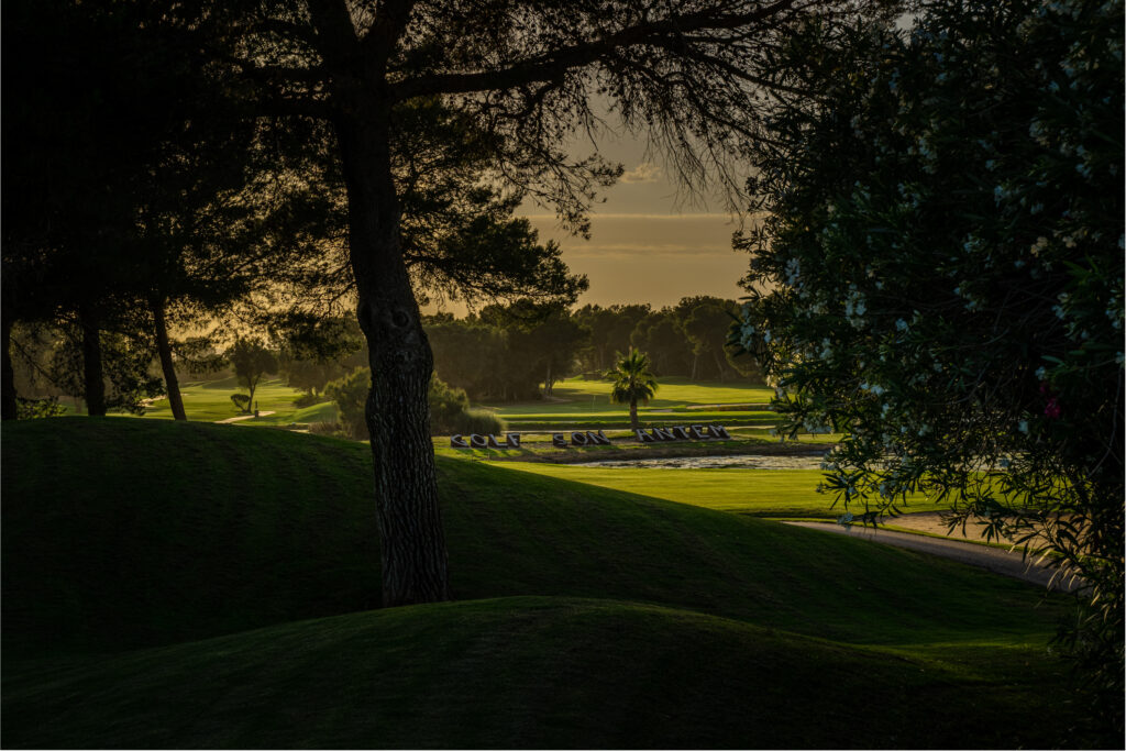 Tree with Golf San Antem sign in background at sunset at Son Antem - West Course