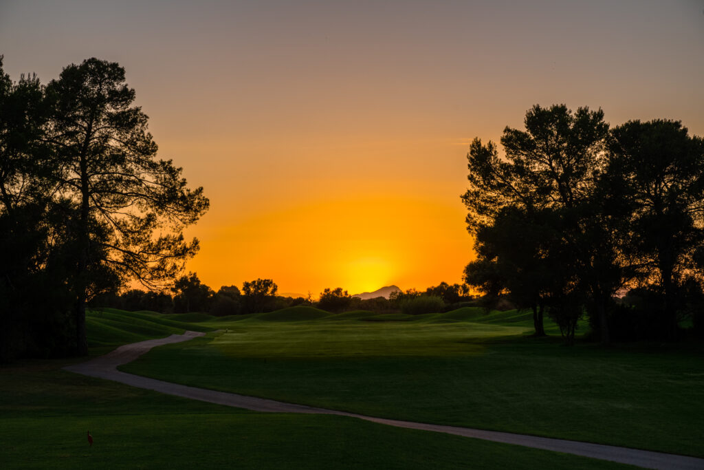 Fairway at sunset with trees around at Son Antem - West Course